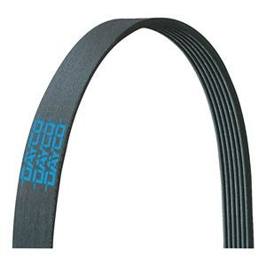 Dayco 5081207 Serpentine Belt