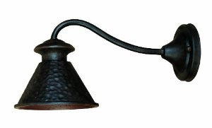 World Imports Lighting 9003-89 Dark Sky Essen Outdoor Lamp, Bronze, Medium