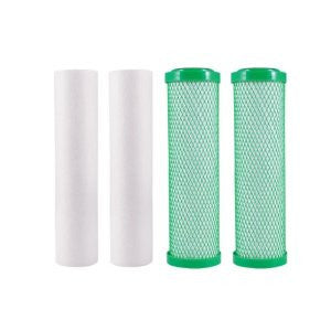 Watts Premier 560017 Two Stage Green Carbon Annual Replacement Filter Pack