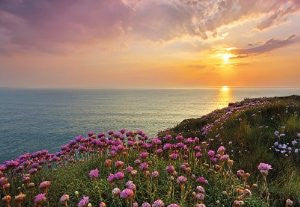 Komar 8-901 8-Panels 12-Foot 1-Inch by 8-Foot 4-Inch Land's End Wall Mural